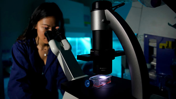 Research student using a microscope.