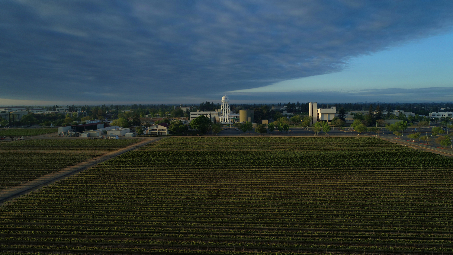 Fresno State agricultural land with campus in the background.