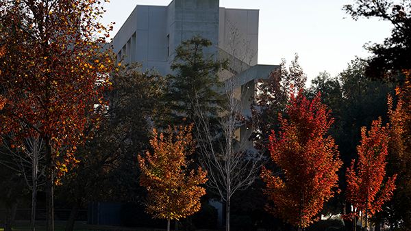 Peter's Building with fall trees