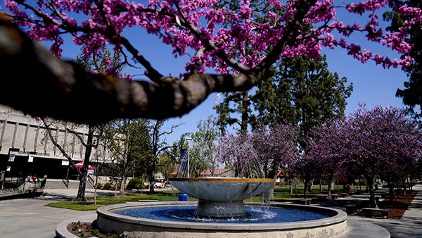 Medium shot of fountain on campus facing the bookstore.
