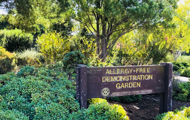 Allergy-Free Demonstration Garden