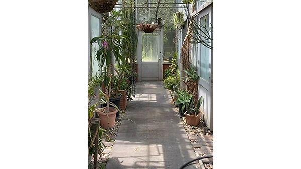 greenhouse