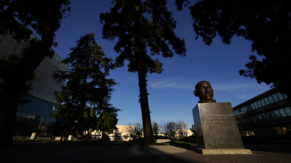 The bust of Gandhi sits in the Peace Garden at Fresno State.