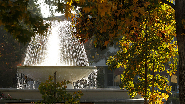 The fountain on the Fresno State campus surrounded by fall leaves and tree branches.