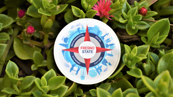 Fresno State climate logo on succulents.