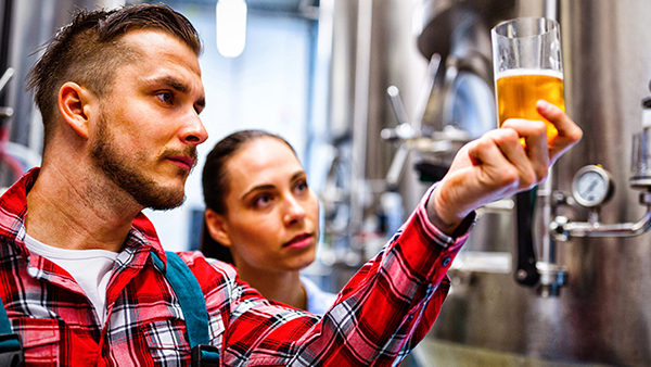 brewers tasting beer