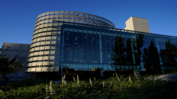 Fresno State library