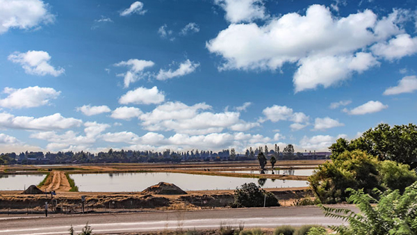 Environmental portrait of Leaky Acres.