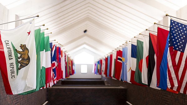 Hanging flags.
