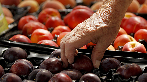 Hand reaching for a plum