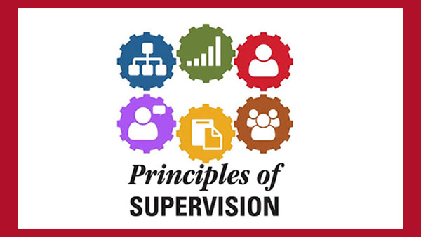 Graphic with six circles in different colors with paper, people and bars. Text reads Principles of Supervision.