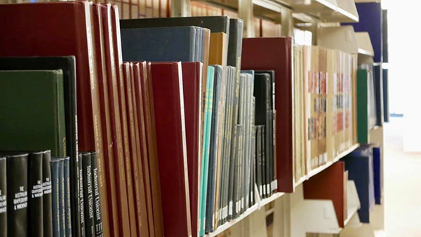 Library books on shelves