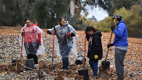 Richter center student leaders raking leaves fall 2024 Richter Week of Service