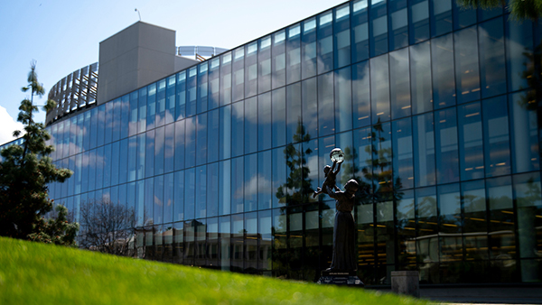 Peace Garden view of the library