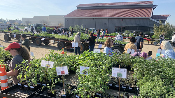 Community looking at plants for sale at Gibson Farm Market