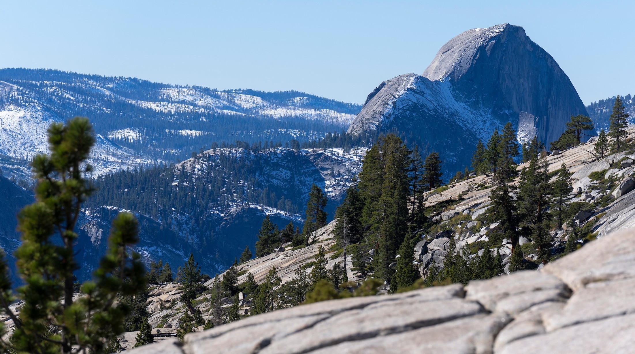 Mountain and trees