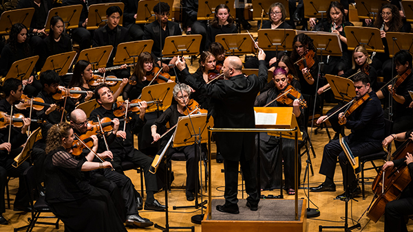 Dr. Thomas Loewenheim conducts the FOOSA Philharmonic.