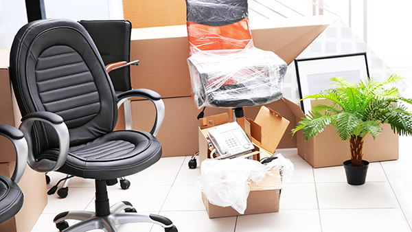 Office chair, boxes, plant and a second chair wrapped in plastic.