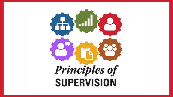 Graphic for Principles of Supervision with gears.