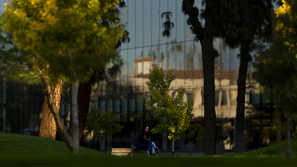 Student sits on a bench in the Peace Garden at Fresno State during sunset.